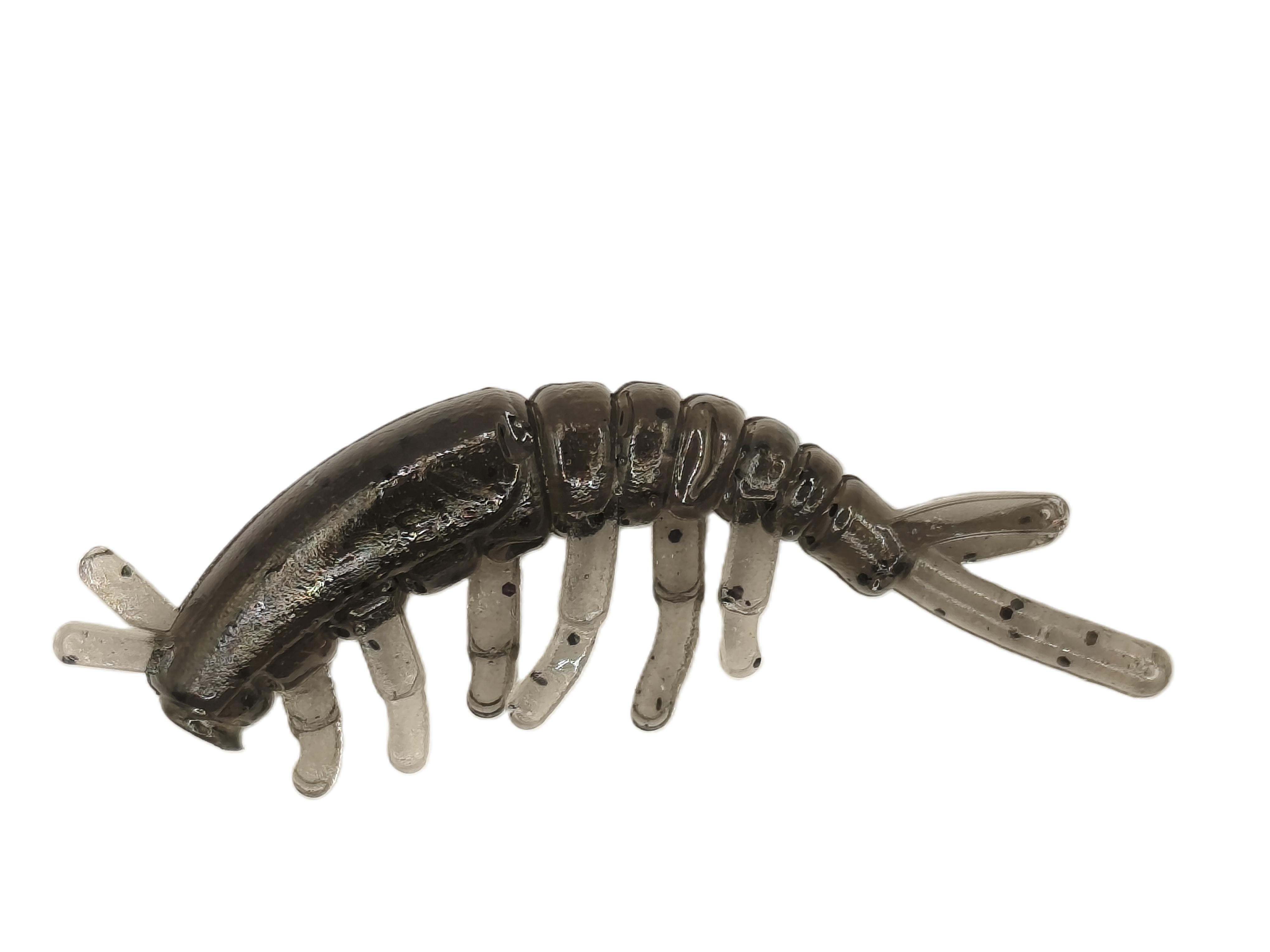 CADDISFLY LARVA 1,2