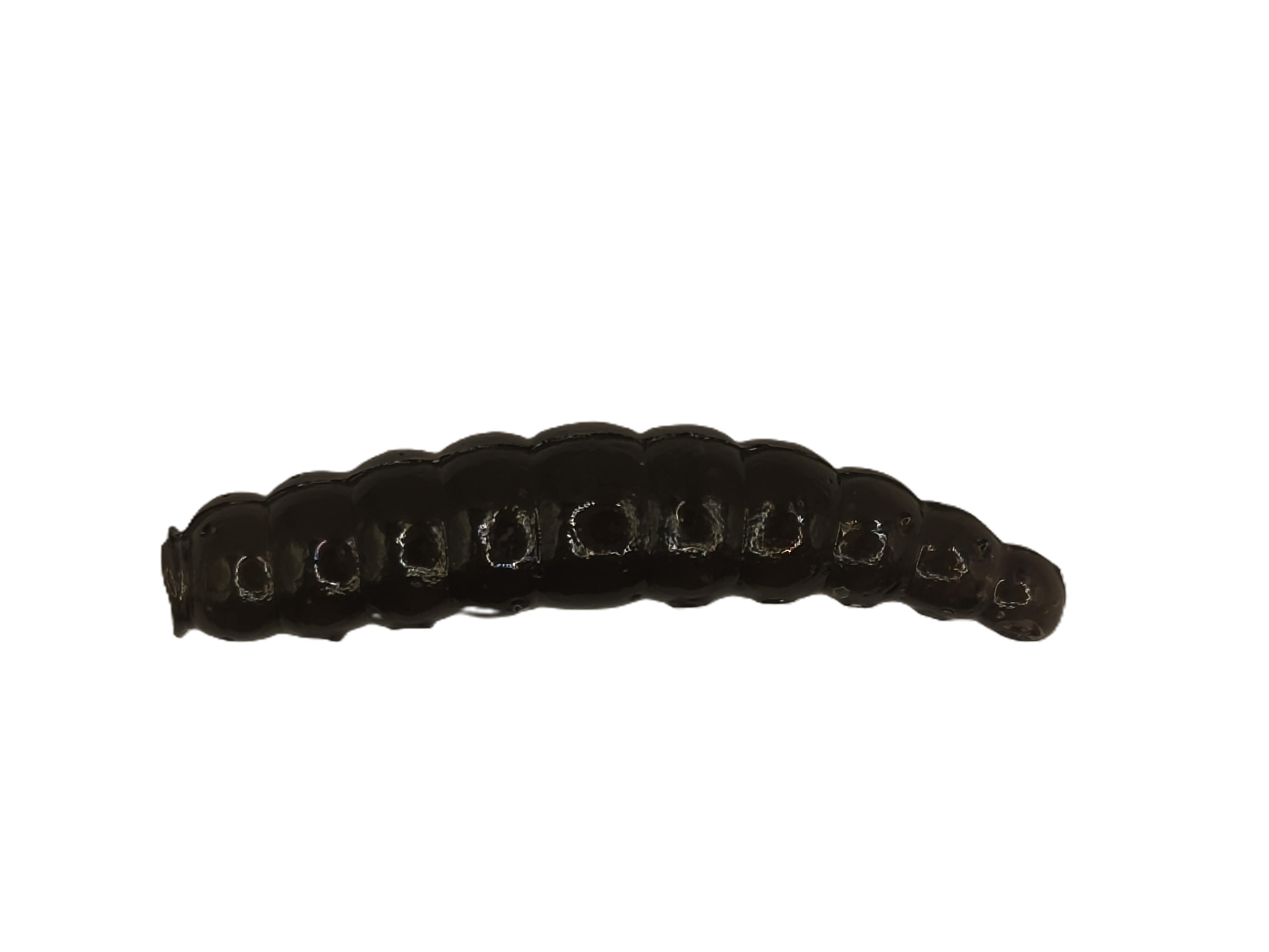 INSECT WORM 1,0