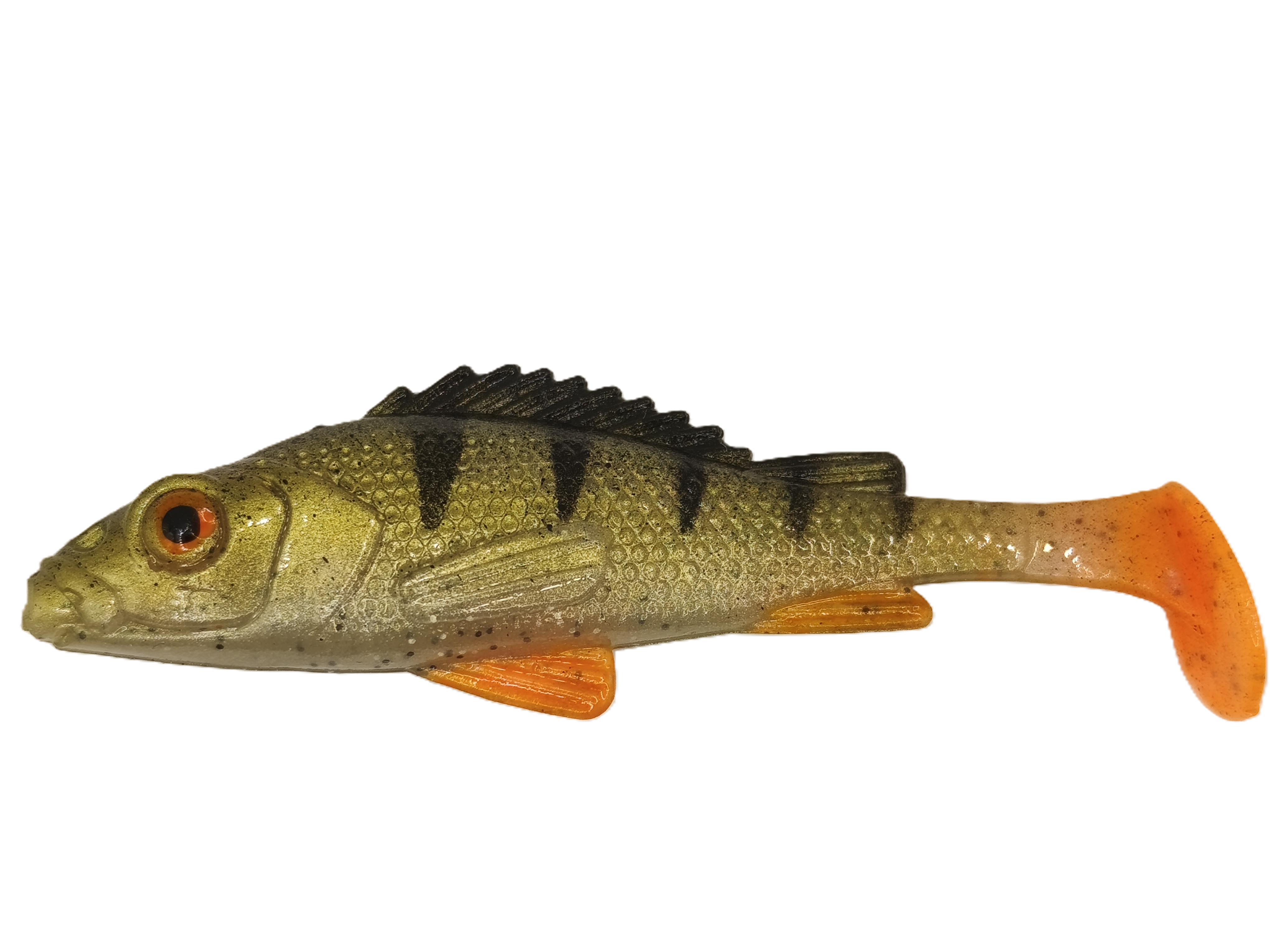 BASS 3,0