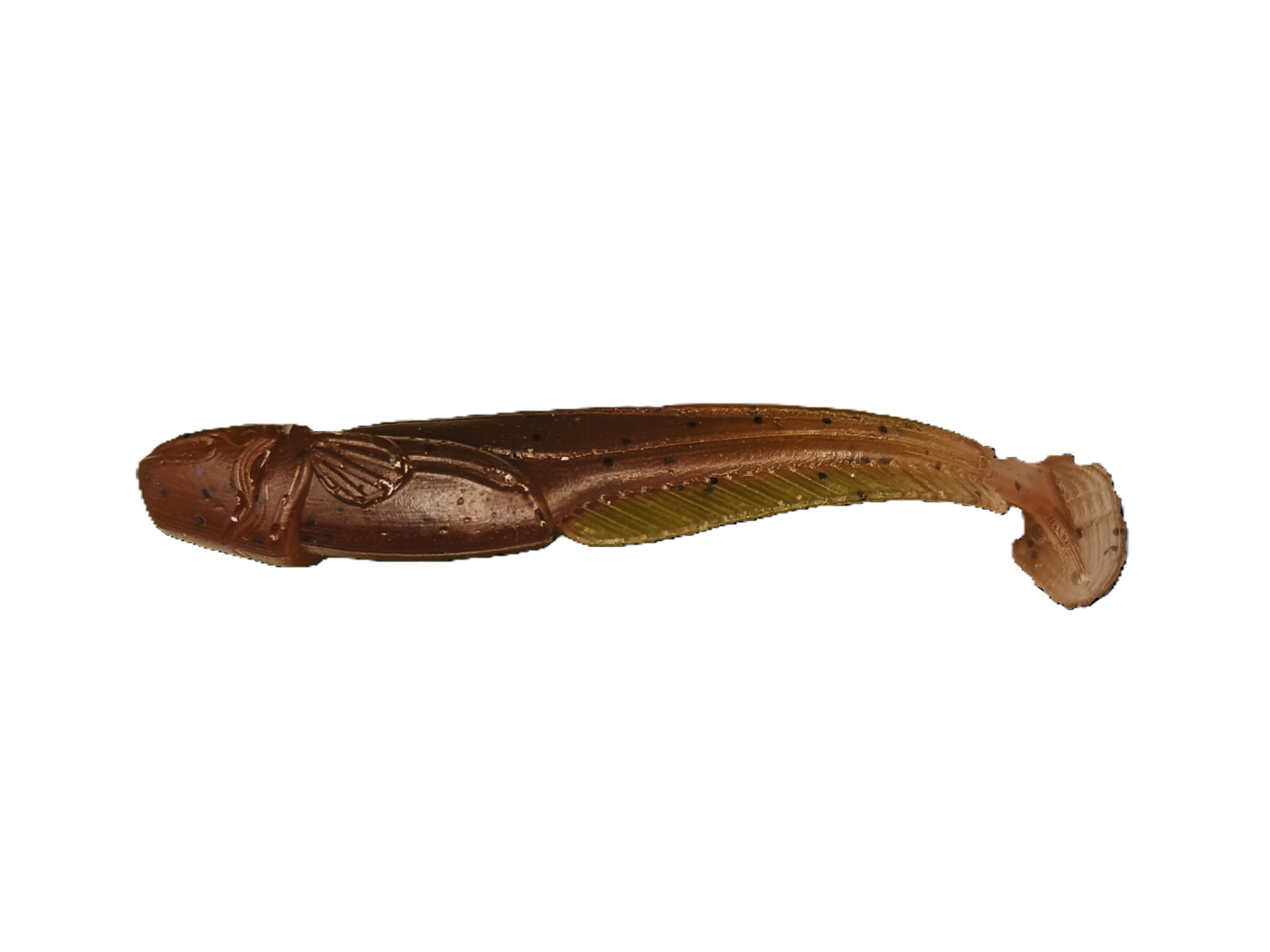 CATFISH 1,8