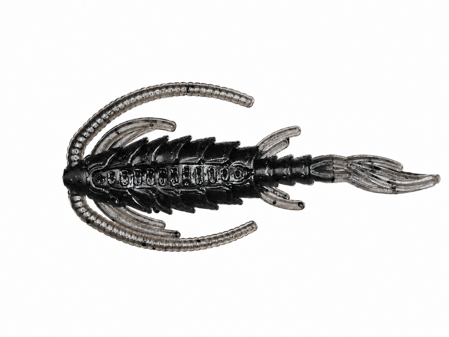COPEPOD NYMF 1,6