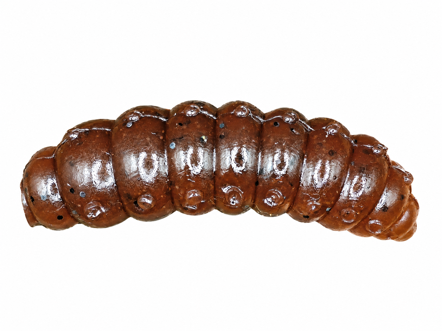 LARVA BIG FAT 1,3