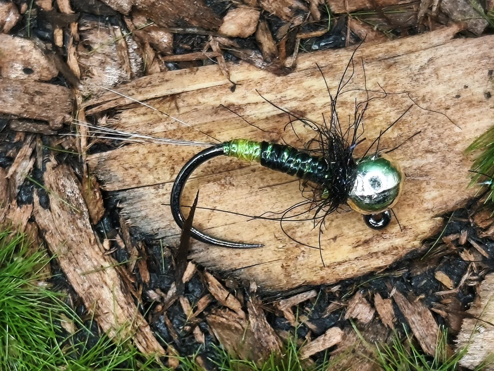 SMOOTH SHINY PEACOCK