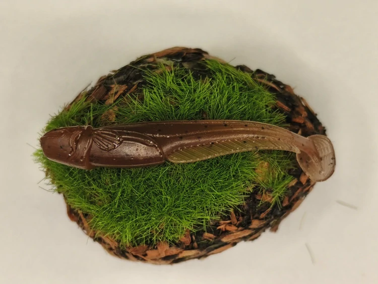 CATFISH 1,8 brown