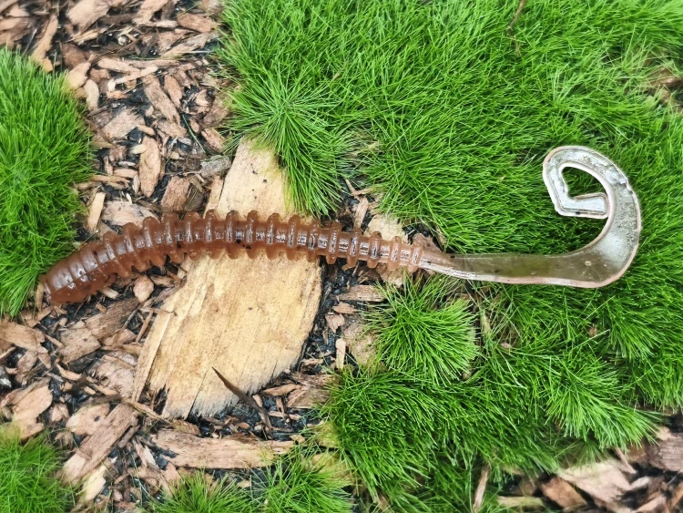 WORM SATURN 2,0 brown
