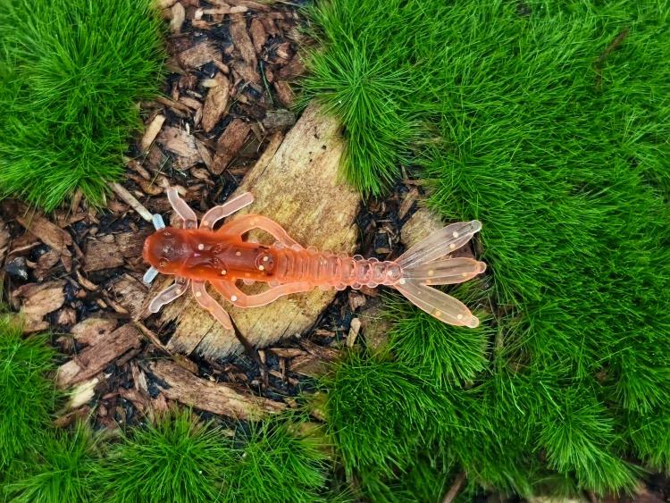 MAYFLY BAETIS 1,2 black/orange fluo