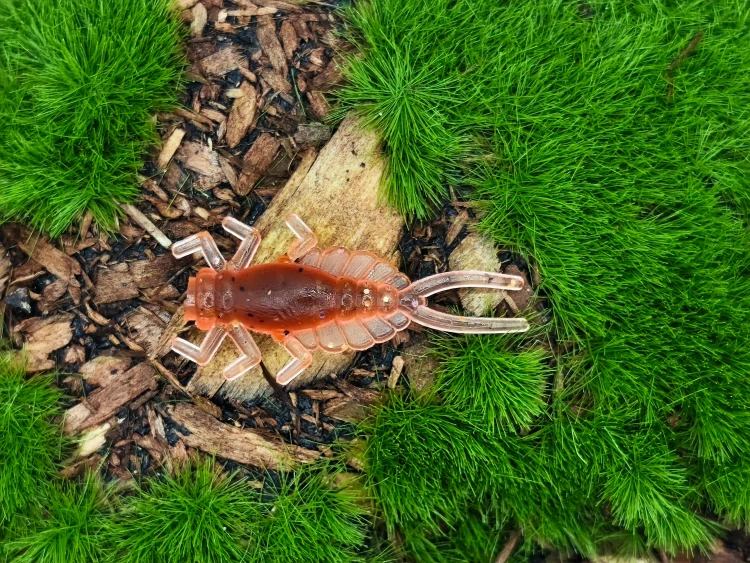 MAYFLY EPEORUS 1,0 black/orange fluo