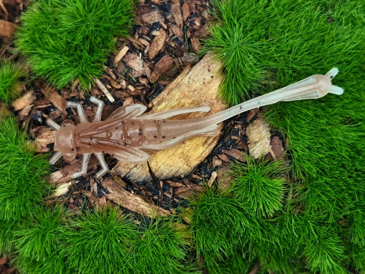 DRAGONFLY NYMPH 1,8 brown/white