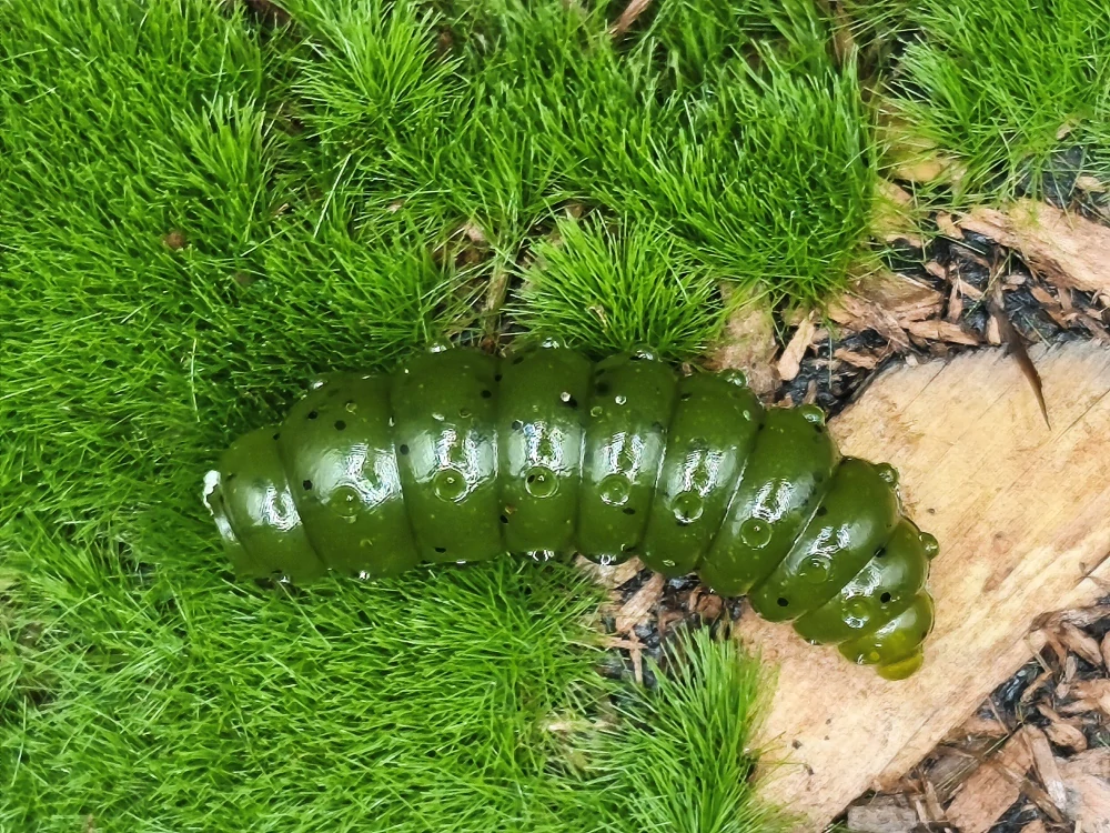 LARVA BIG FAT 1,3 olive