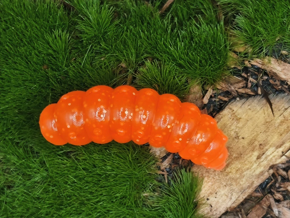 LARVA BIG FAT 1,3 orange fluo