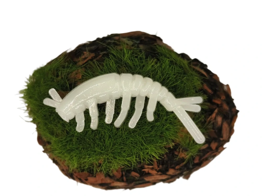 CADDISFLY LARVA 1,2 white
