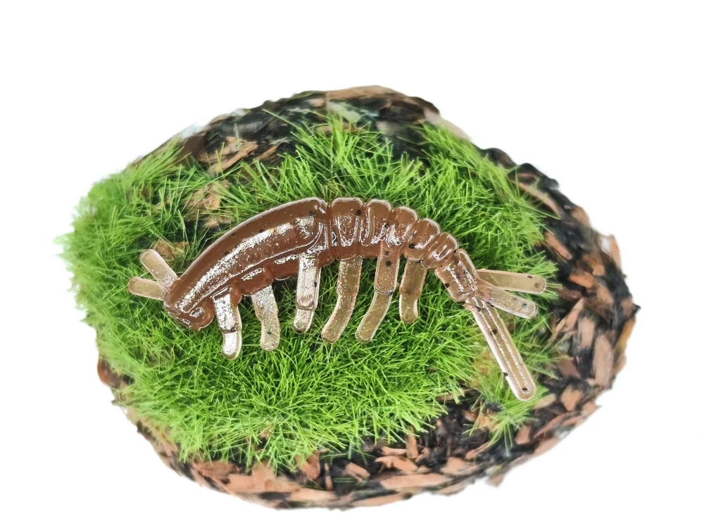 CADDISFLY LARVA 1,2 brown