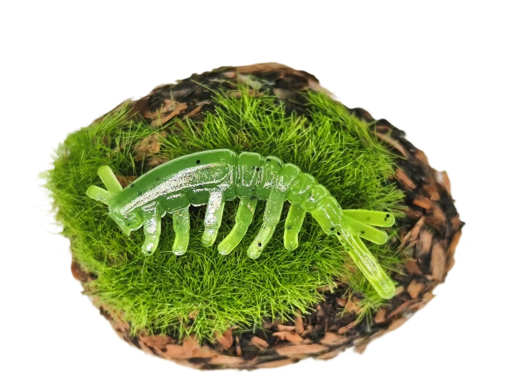 CADDISFLY LARVA 1,2 olive
