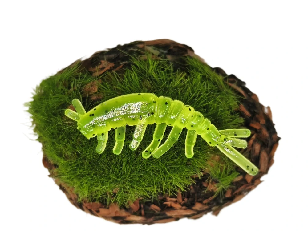 CADDISFLY LARVA 1,2 yellow fluo