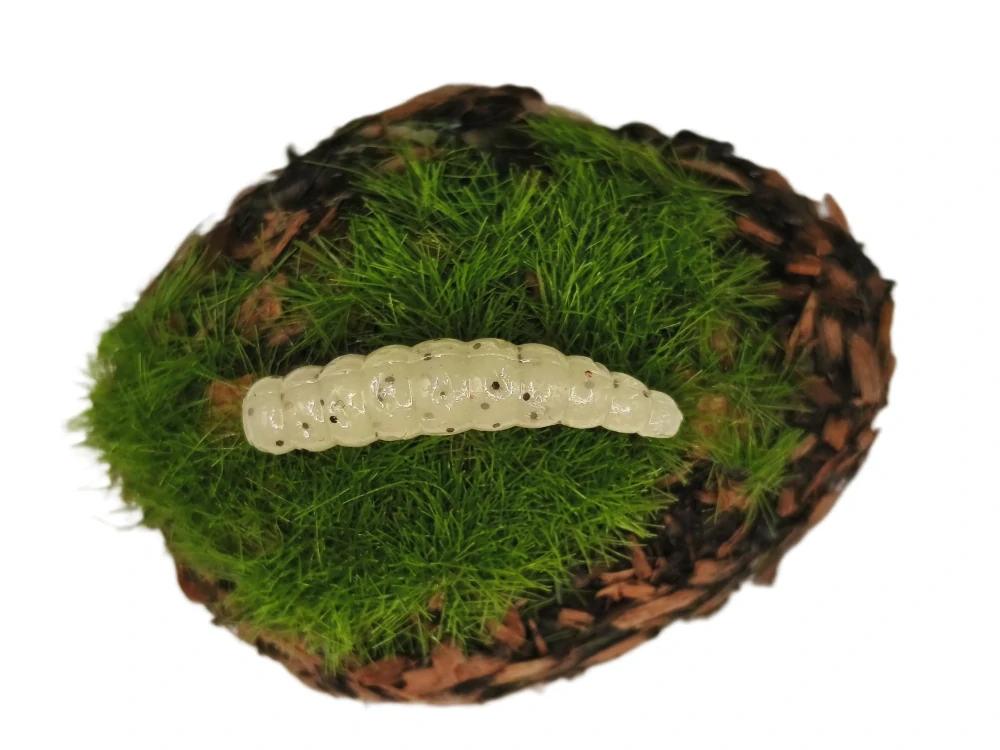 INSECT WORM 1,0 sand