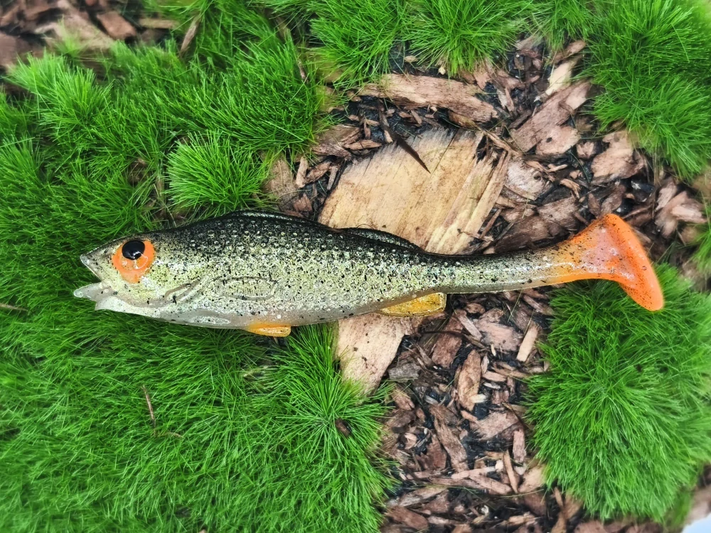 BASS 2,0 natural