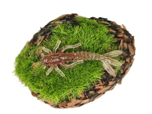 MAYFLY BAETIS 1,2 brown
