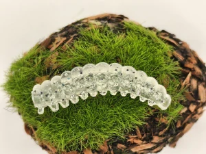 CATERPILLAR BUTTERFLY 1,2 silver transparent