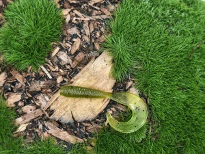 TWISTER 1,0 olive