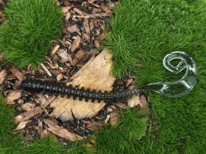 WORM SATURN 2,0 black
