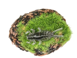MAYFLY EPEORUS 1,0 black