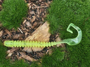 WORM SATURN 2,0 yellow fluo