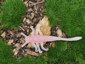 MAYFLY TIPSY 1,5 pink fluo