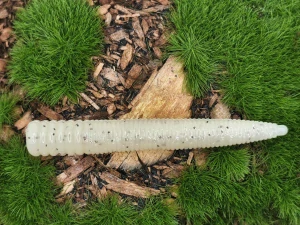 WORM STICK 2,0 sand