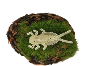 MAYFLY EPEORUS 1,0 sand