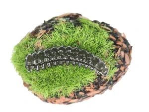 CATERPILLAR BUTTERFLY 1,2 black