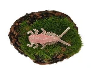 MAYFLY EPEORUS 1,0 pink fluo