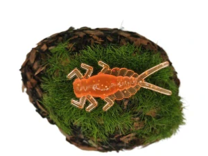 MAYFLY EPEORUS 1,0 orange fluo