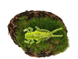 MAYFLY EPEORUS 1,0 yellow fluo