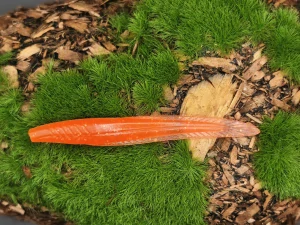 LONG LECH 2,5 orenge fluo