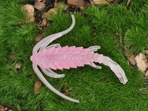 COPEPOD NYMF 1,6 pink fluo