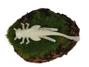 DRAGONFLY NYMPH 1,8 white