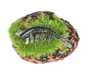 CADDISFLY LARVA 1,2 black