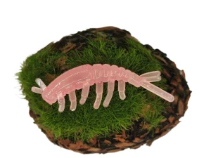 CADDISFLY LARVA 1,2 pink fluo