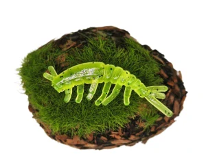 CADDISFLY LARVA 1,2 yellow fluo