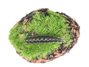 INSECT WORM 1,0 black