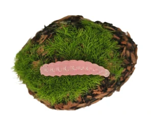 INSECT WORM 1,0 pink fluo