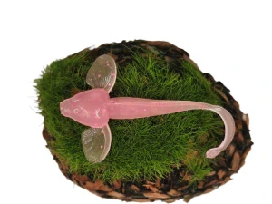 GOBY 1,5 pink fluo