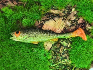 BASS 2,0 green fluo