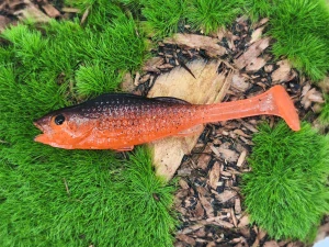 BASS 2,0 orange fluo