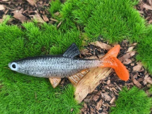 CAVIAR 2,0 natural