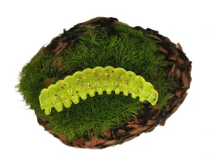 CATERPILLAR BUTTERFLY 1,2 yellow fluo