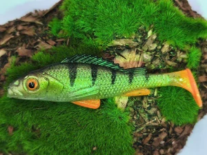 BASS 3,0 green fluo