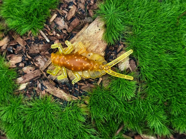 MAYFLY EPEORUS 1,0 olive/orange fluo