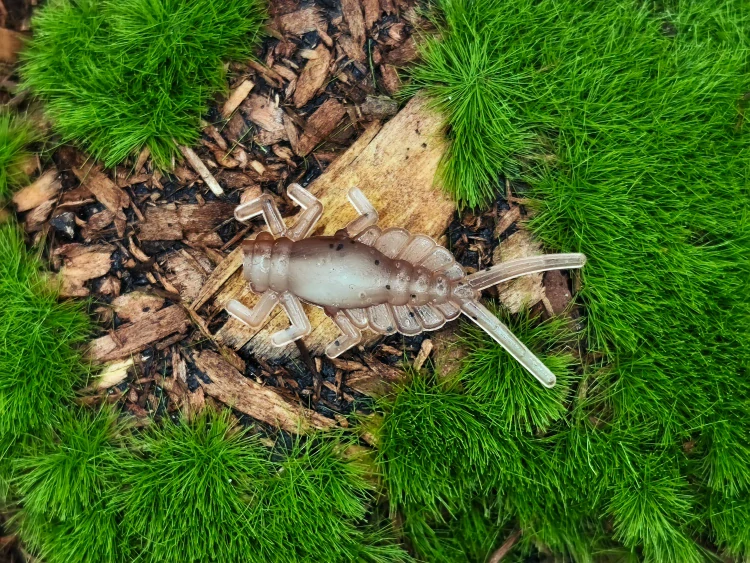 MAYFLY EPEORUS 1,0 blrown/white