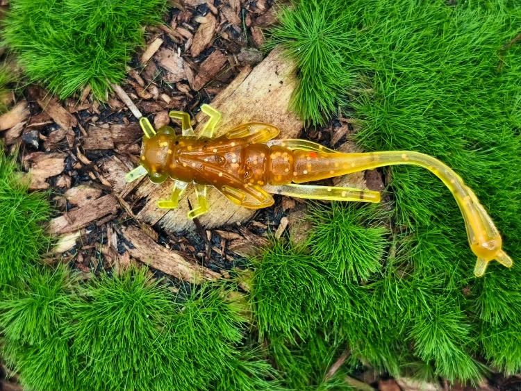 DRAGONFLY NYMPH 1,8 olive/orange fluo